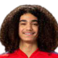 https://img.gdqch.com/img/football/player/87359ed9061cfd73513d827263deebcd.png