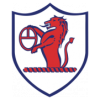 https://img.gdqch.com/img/football/team/11fb72f7b5eacfc881ee11bac75871fa.png