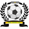 https://img.gdqch.com/img/football/team/6dc6d59af2f0962597b412473a6708ee.png